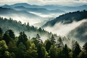 Smoky cloudy mountains trees valley. Generate AI photo