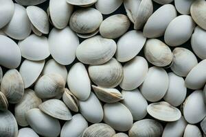 White shellfish pattern. Generate Ai photo