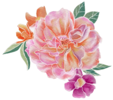 Flower watercolor illustration png