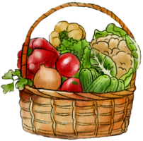 Vegetables basket organic png