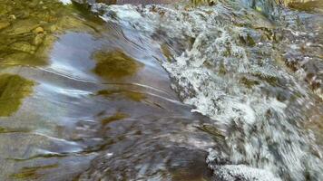 Fast Flow Of The Mountain River In The Morning video