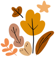 Blatt Herbst Konzept png