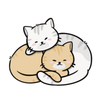 cute cat cartoon sticker png