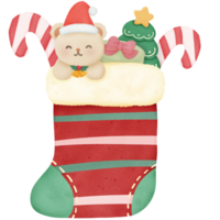 Navidad medias acuarela elemento. acuarela mano dibujar png