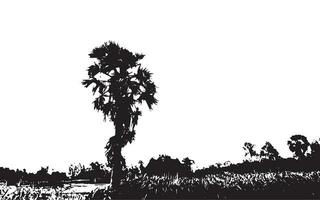 a black and white drawing of a palm tree vector