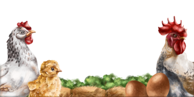 horizontal Rand mit ein Komposition von Henne, Hahn und Hähnchen. Bauernhof Tiere Weiden lassen unter Gebüsch und Heuhaufen. Digital Illustration png