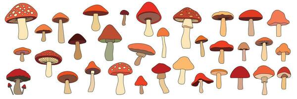 Set of mushrooms colored outline. Hand drawn mushroom in doodle style. Mushrooms with outline. Vector illustration.