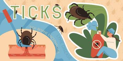 Insects Ticks Collage vector
