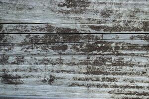 Gray aged wood background close up. photo