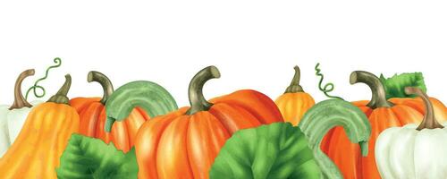 Realistic Pumpkin Border vector