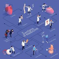 Sections Of Medicine Isometric Flowchart vector