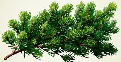 Top view of green fir branch, fir tree with needles isolated on white background - AI generated image photo