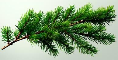 Top view of green fir branch, fir tree with needles isolated on white background - AI generated image photo