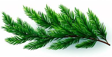 Top view of green fir branch, fir tree with needles isolated on white background - AI generated image photo