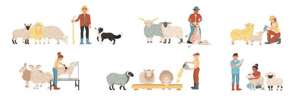 Flat Sheep Farm Set vector