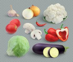 Ripe Vegetables Realistic Set vector