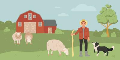 Sheep Farm Illustration vector