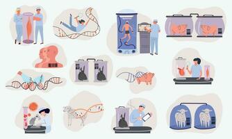 Flat Cloning Genetics Compositions vector