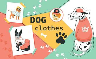 Dog Clothes Flat Collage vector