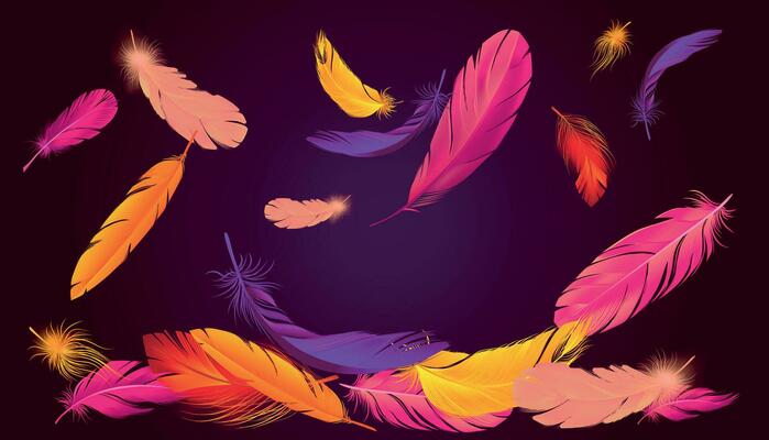 Colored Falling Feathers Composition