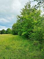 Beautiful Low Angle view of British Landscape and Countryside photo