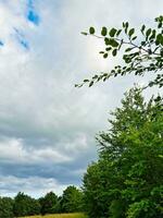 Beautiful Low Angle view of British Landscape and Countryside photo