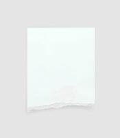 Torn paper edges. Ripped paper texture. Paper tag. White paper sheet for background with clipping path. Vector. vector