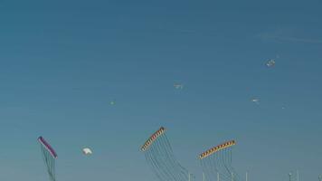 Group of kites performing in the air on Wind Festival, Valencia video