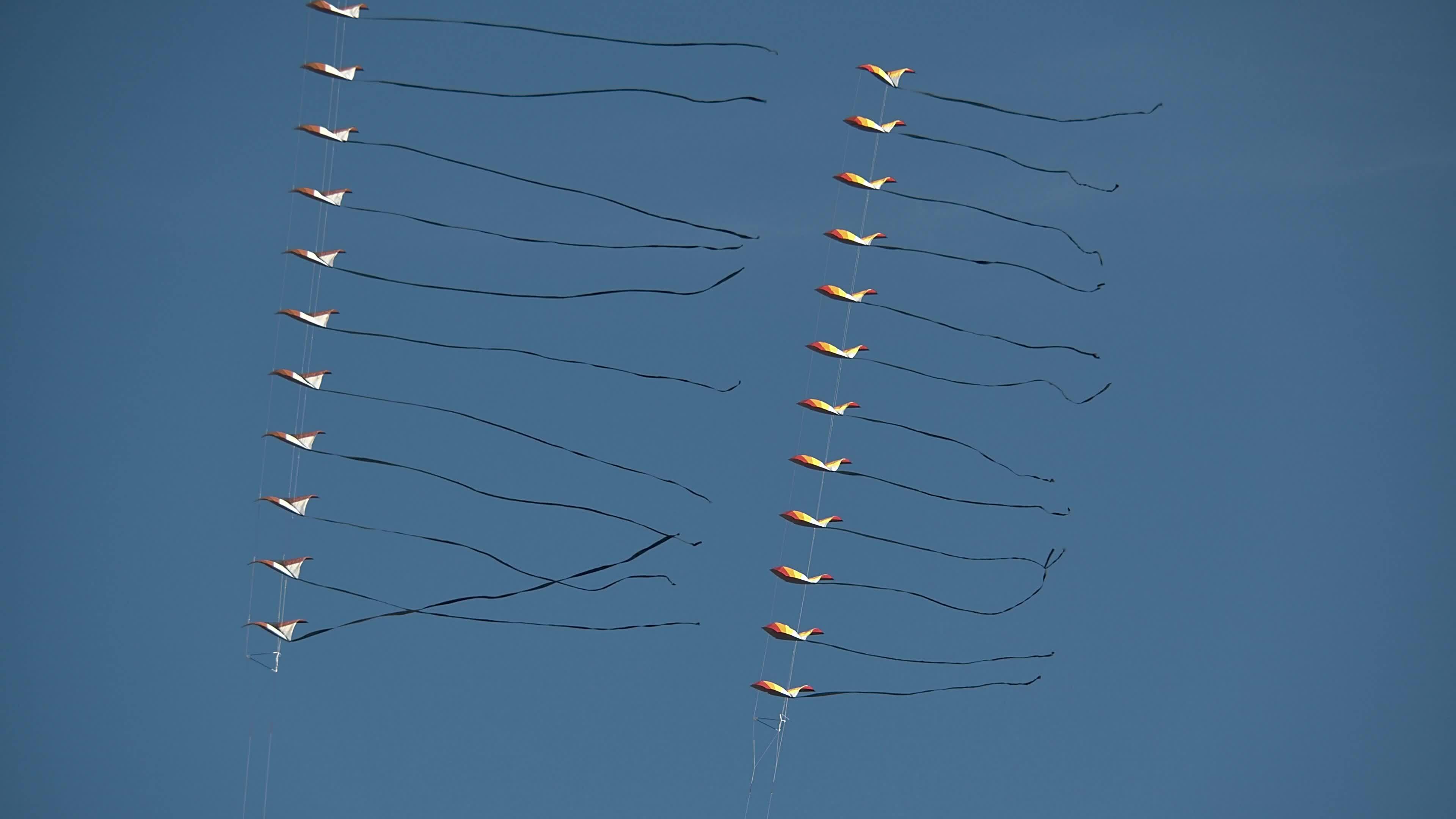 Kites performance on Wind Festival in Valencia, Spain 28708626 Stock