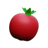 pomegranate 3d rendering icon illustration png