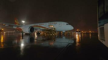 cargando carga envase dentro el avión de hainan aerolíneas a noche video