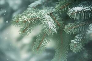 Fir branches falling snow season. Generate Ai photo