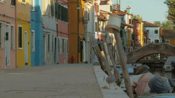 een geplaveid dijk van Italiaans Burano met kleurrijk gebouwen en een hongerig zeemeeuw video