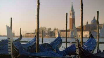 A closeup of covered gondolas swaying on a pier against the blurred Venice view video