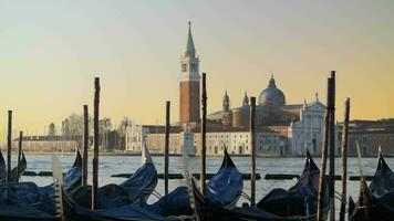 Covered gondolas swaying on water against a beautiful Venice view video