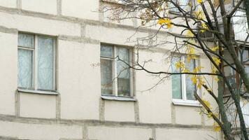 Autumn view of apartment block and tree with dry leaves video