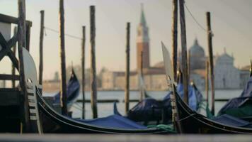 Gondolas mooring in Venice, Italy video