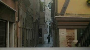 Street view with the dome of Santa Maria Basilica in bright sunlight, Venice video