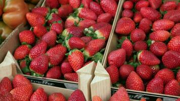 cajas con fresas en mercado video