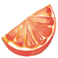 citron- orange vattenfärg png