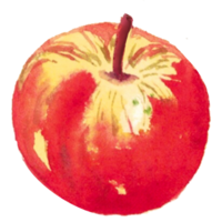 äpple höst säsong vattenfärg png