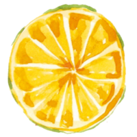 Lemon Orange watercolor png