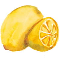 Lemon Orange watercolor png