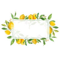 lemon frame of lemon png