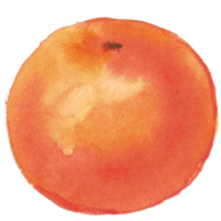 citroen oranje waterverf png