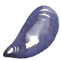 shell seafood sea watercolor png