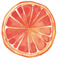 citron- orange vattenfärg png