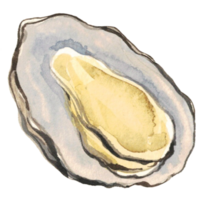 shell seafood sea watercolor png