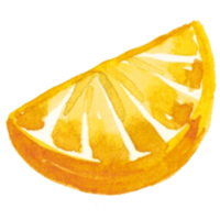 citron- orange vattenfärg png