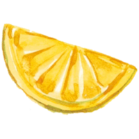 citron- orange vattenfärg png